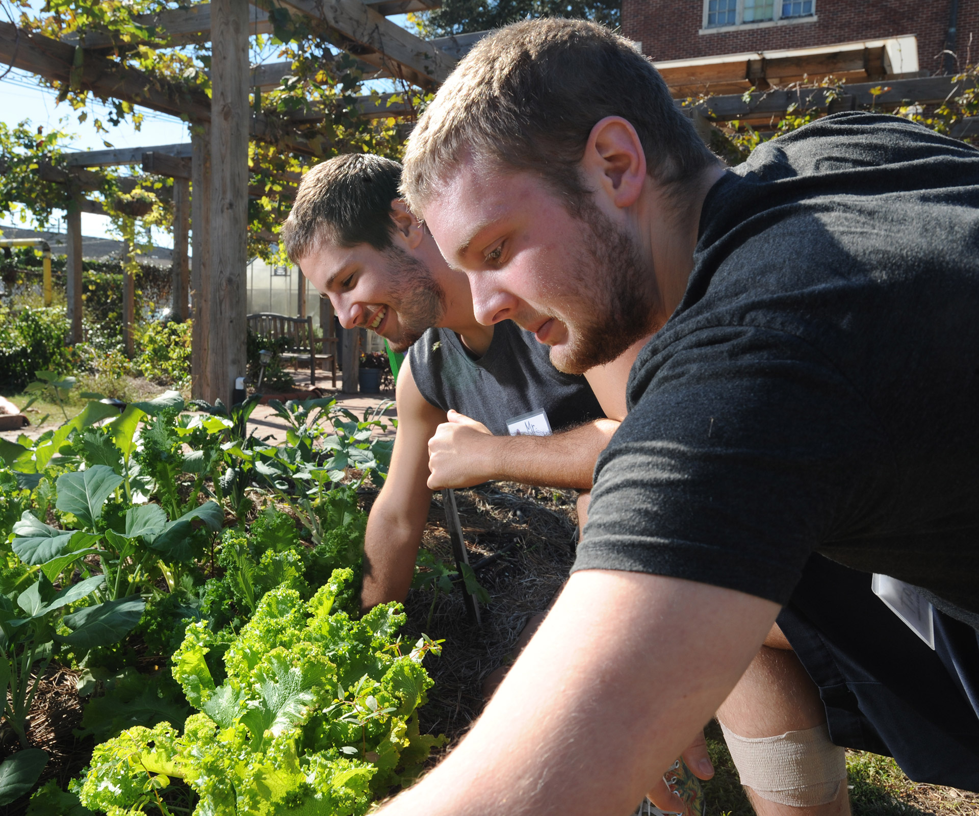 Students tending community garden