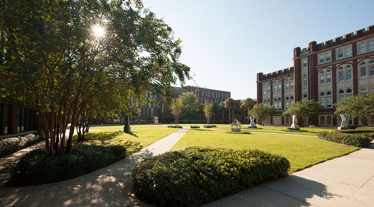 Campus Walkway